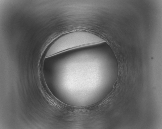 X0000062930242200601131121