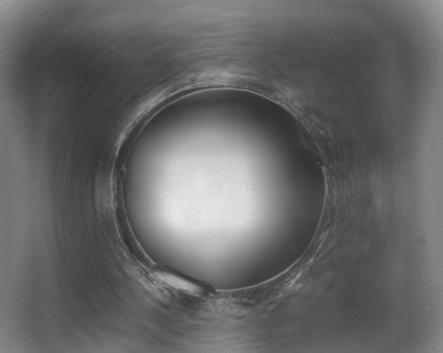 X0000062930244200601131122