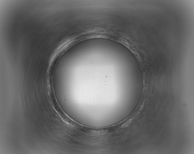 X0000062930245200601131122