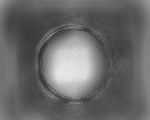 X0000062930247200601131122