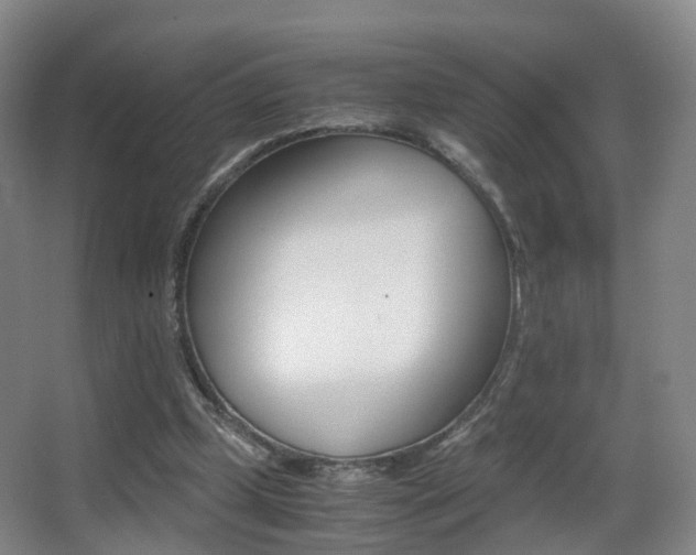 X0000062930249200601131122