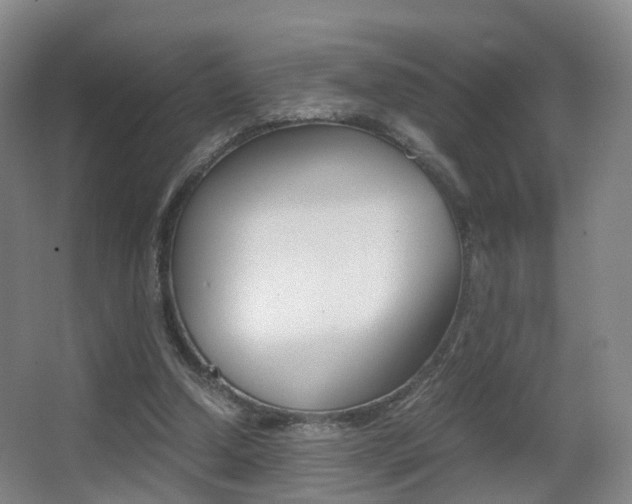 X0000062930250200601131122