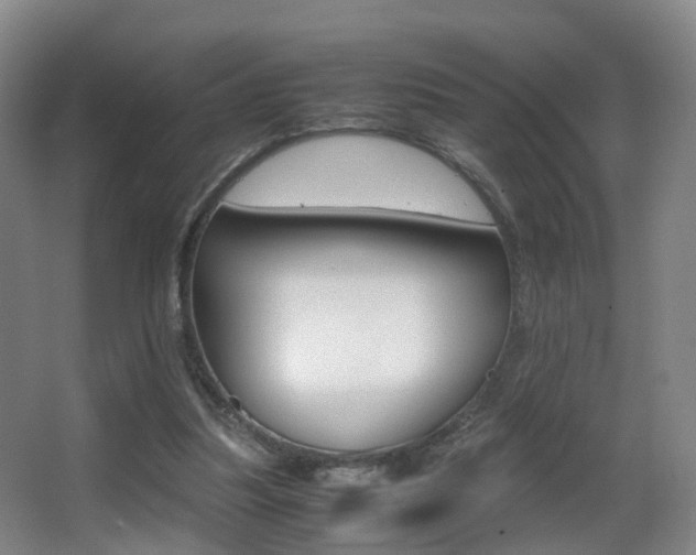X0000062930251200601131122