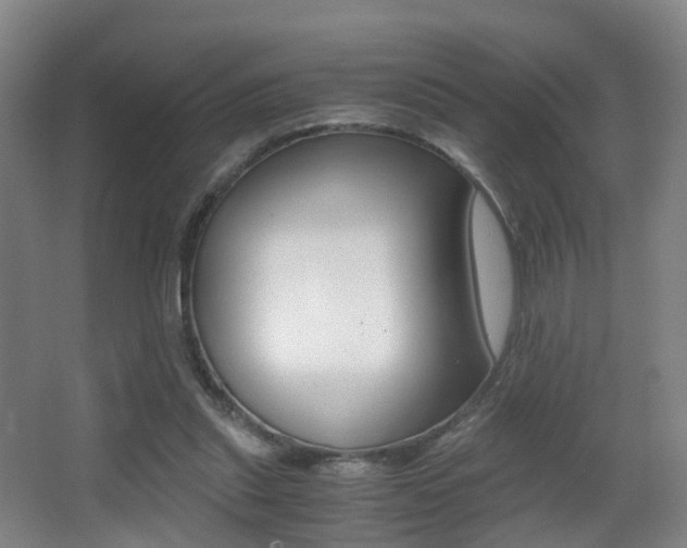 X0000062930253200601131122