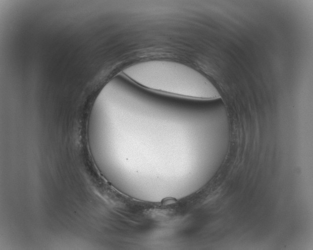 X0000062930255200601131122
