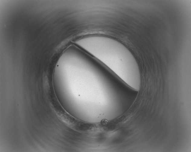 X0000062930256200601131122