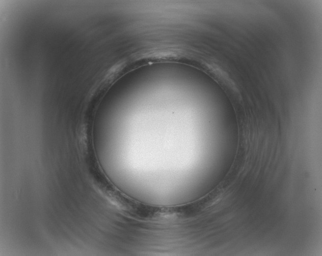 X0000062930260200601131122