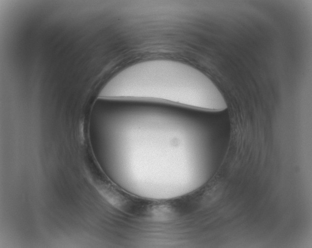 X0000062930262200601131122