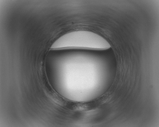 X0000062930263200601131122