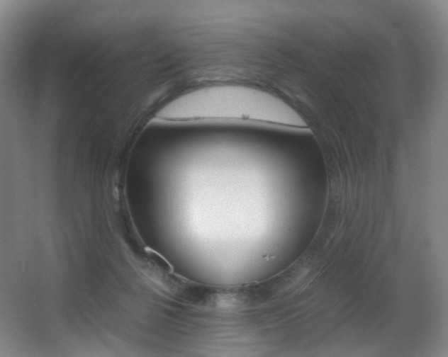 X0000062930264200601131122