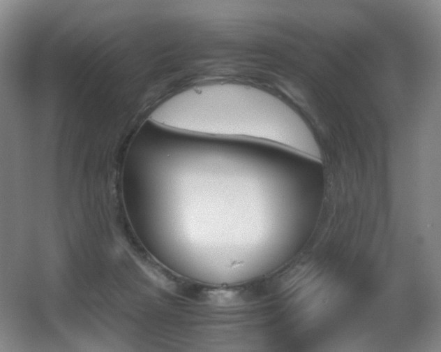 X0000062930265200601131122