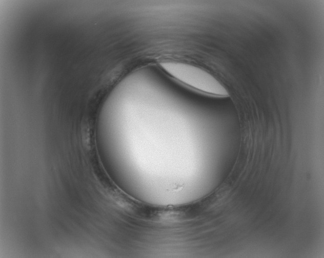 X0000062930268200601131122
