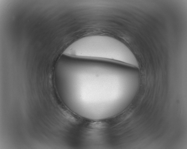 X0000062930269200601131122