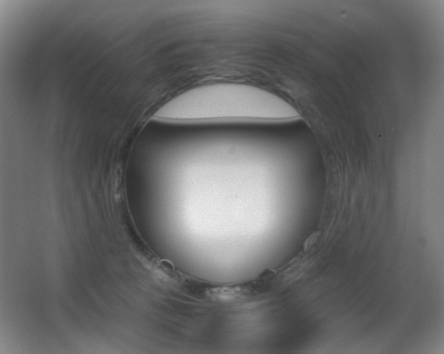 X0000062930273200601131122