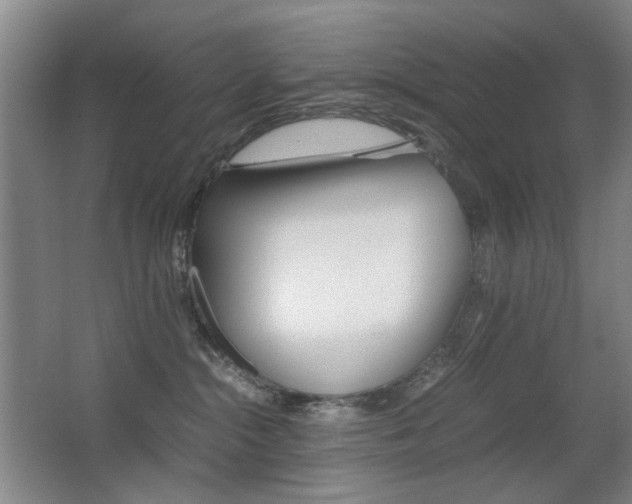 X0000062930284200601131122