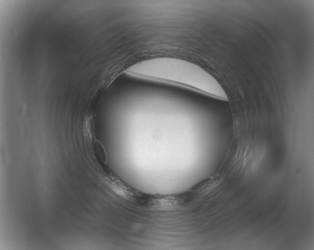 X0000062930286200601131122