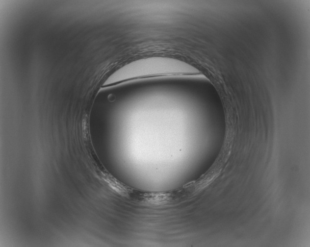 X0000062930288200601131122
