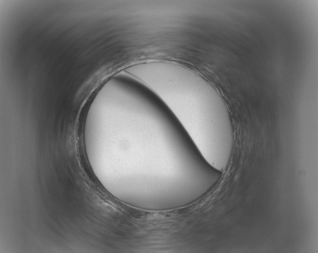 X0000062930290200601131121
