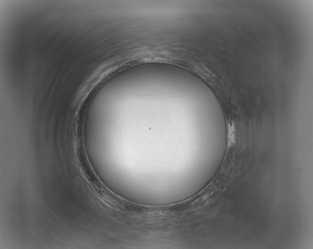 X0000062930291200601131121