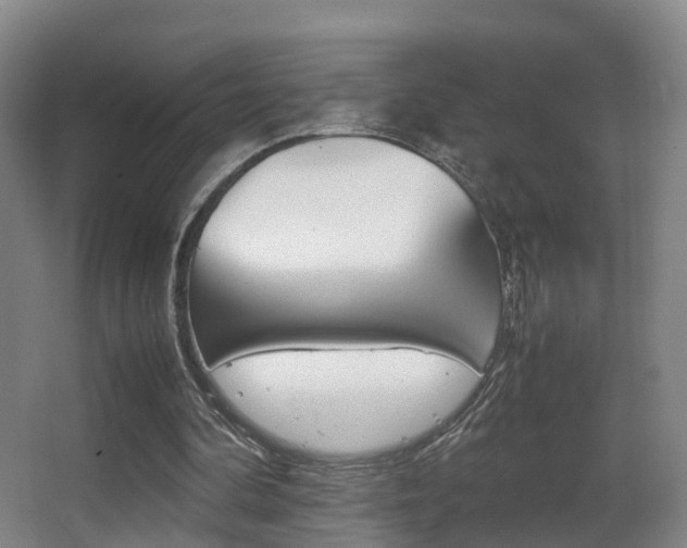 X0000062930292200601131121
