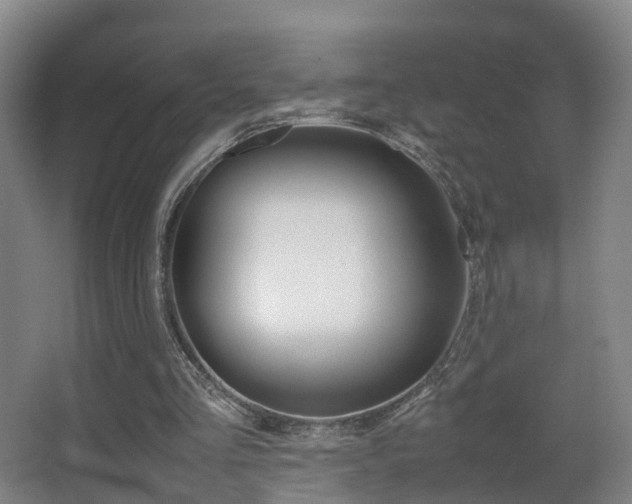 X0000062930293200601131121