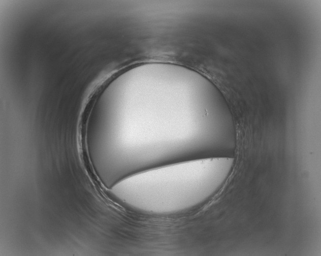 X0000062930294200601131121