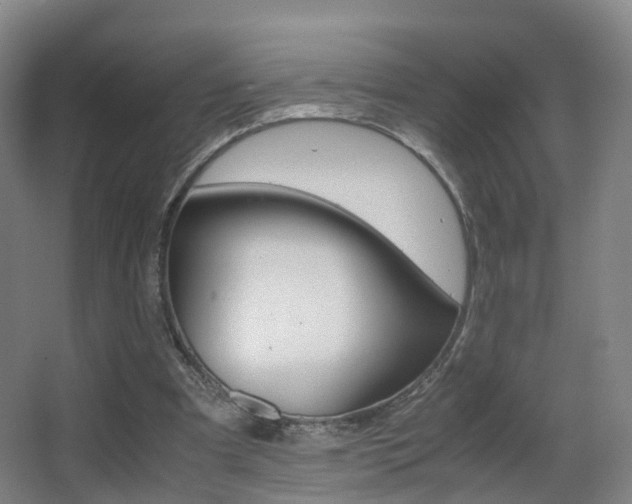 X0000062930297200601131121