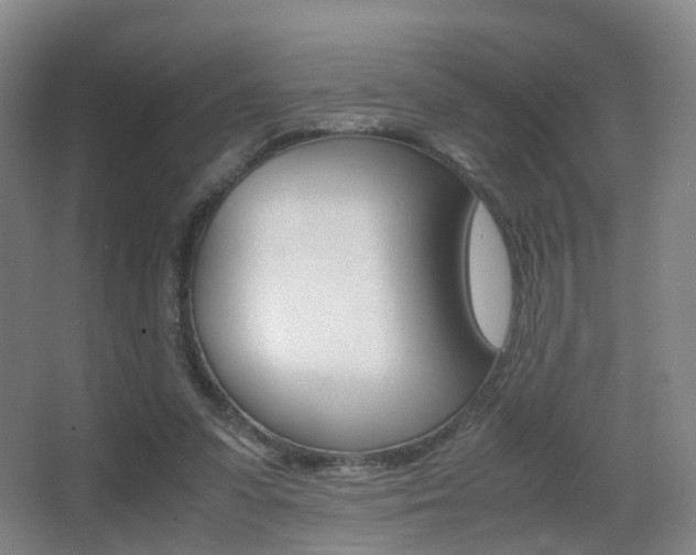 X0000062930303200601131121