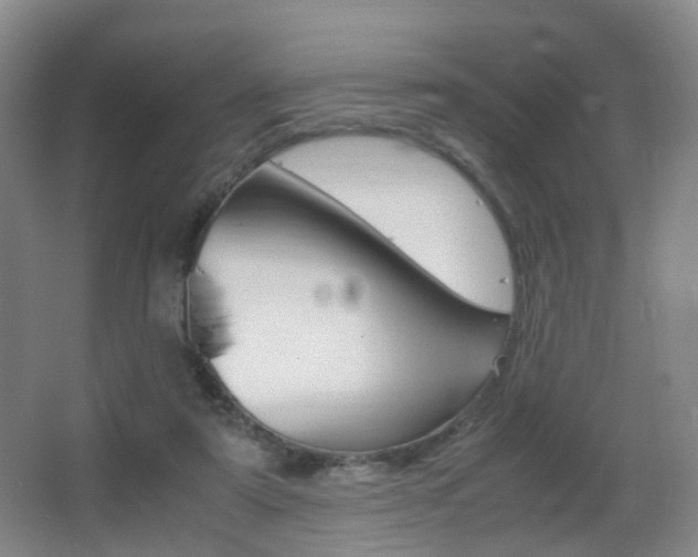 X0000062930307200601131121