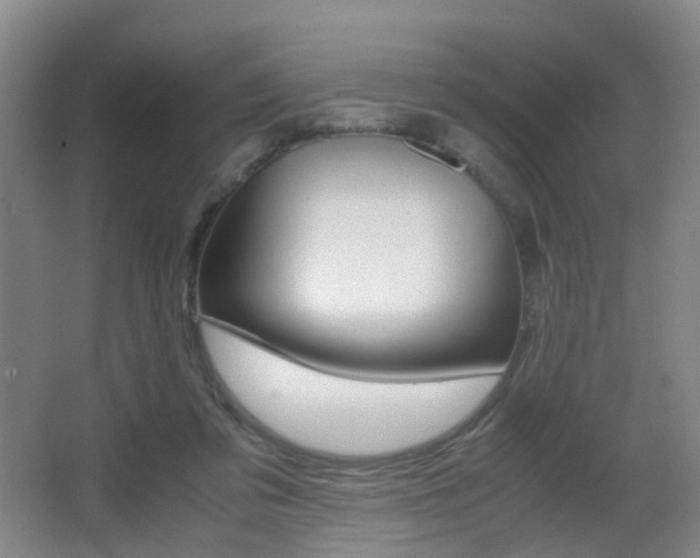 X0000062930309200601131121