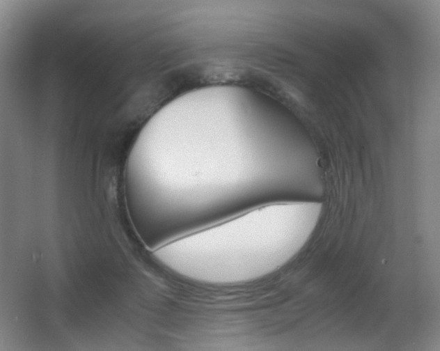 X0000062930315200601131121