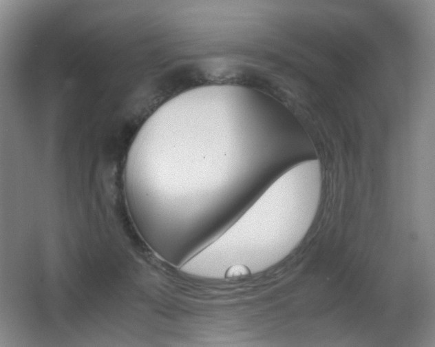 X0000062930319200601131121
