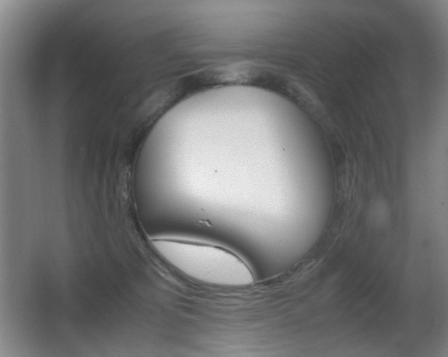 X0000062930325200601131121