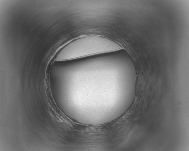 X0000062930338200601131120