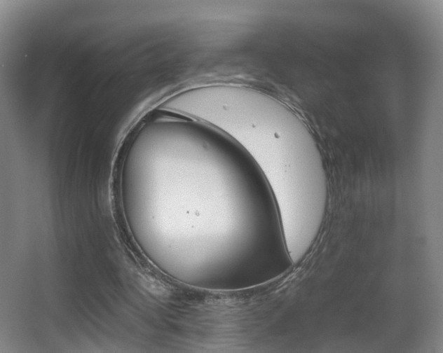 X0000062930340200601131120