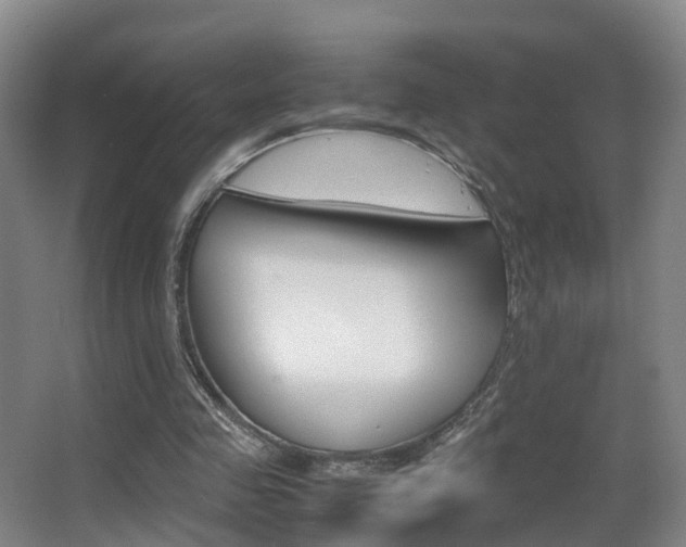 X0000062930341200601131120