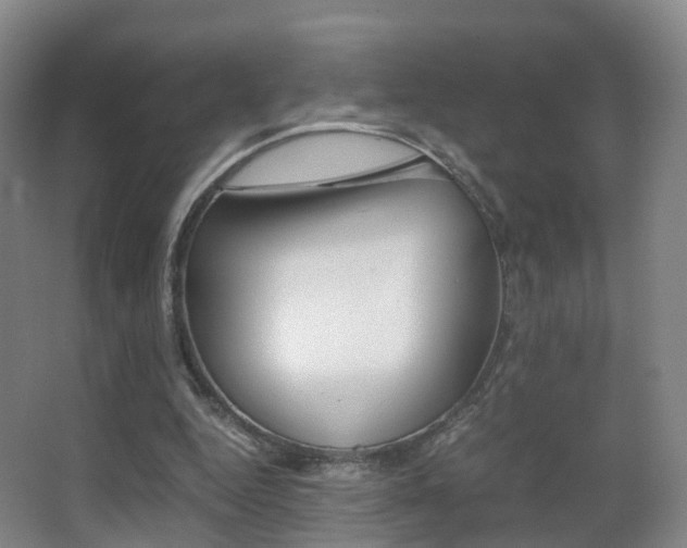 X0000062930344200601131120