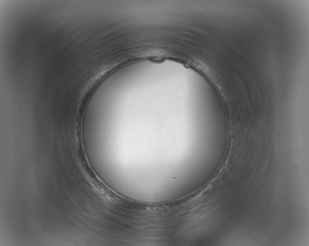 X0000062930345200601131120