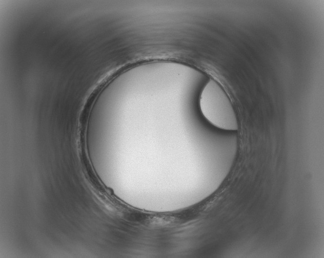 X0000062930346200601131120