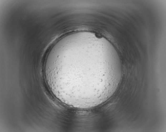 X0000062930347200601131120