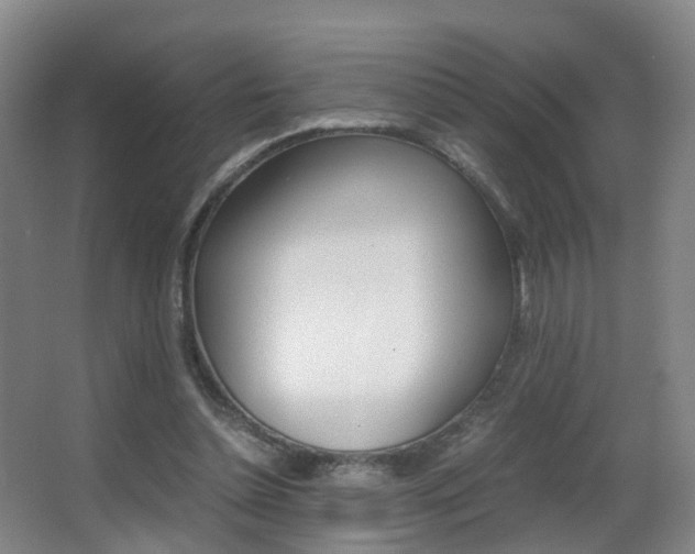 X0000062930348200601131120