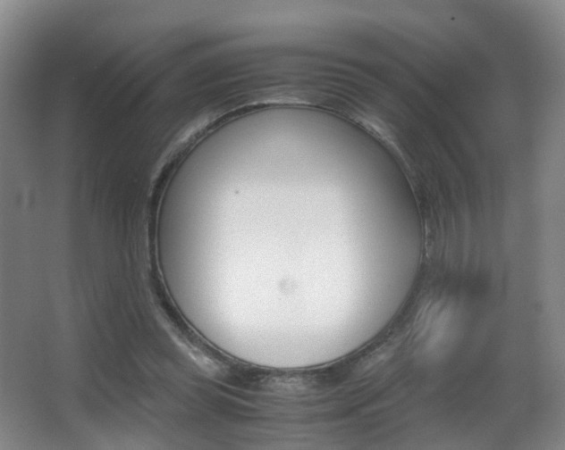 X0000062930349200601131120