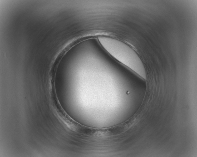 X0000062930350200601131120