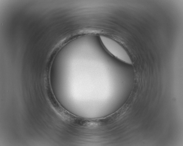 X0000062930352200601131120