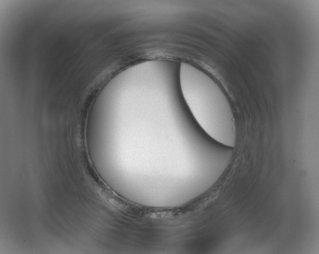 X0000062930353200601131120