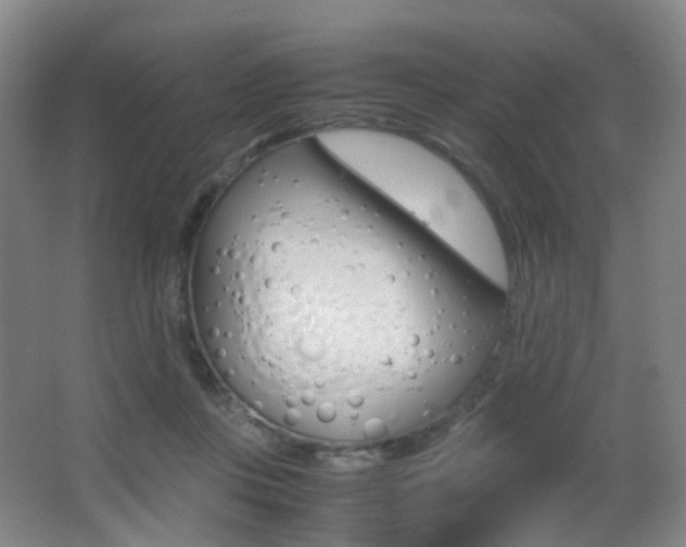 X0000062930359200601131120