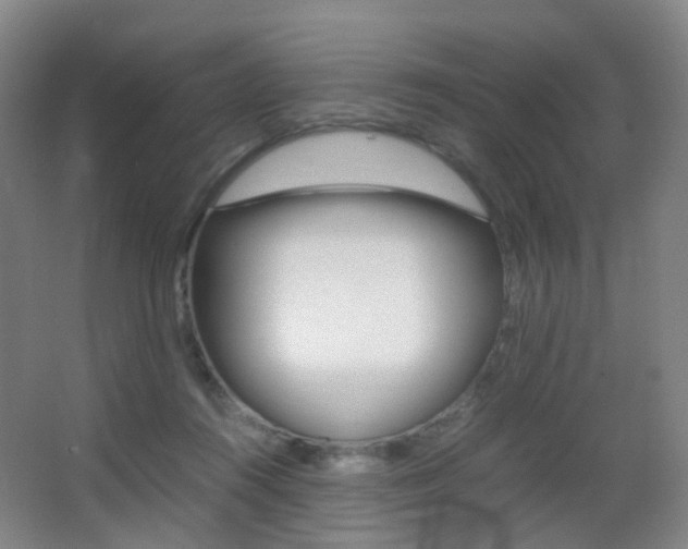 X0000062930360200601131120