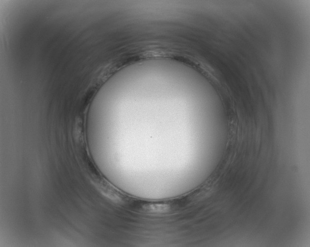 X0000062930361200601131120