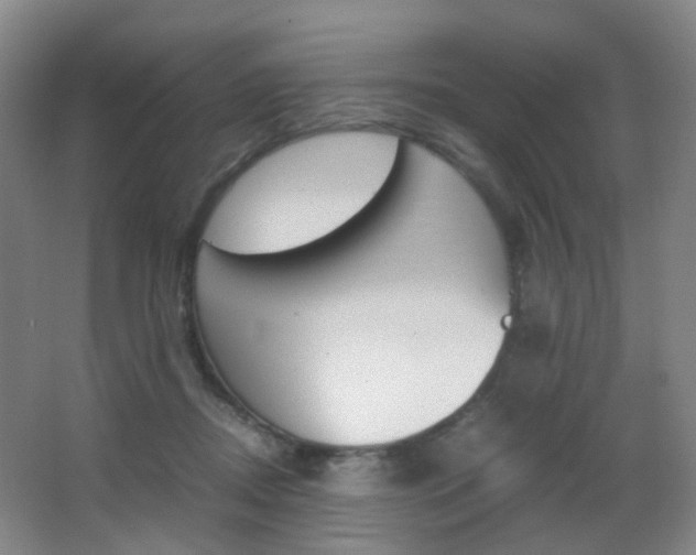 X0000062930362200601131120