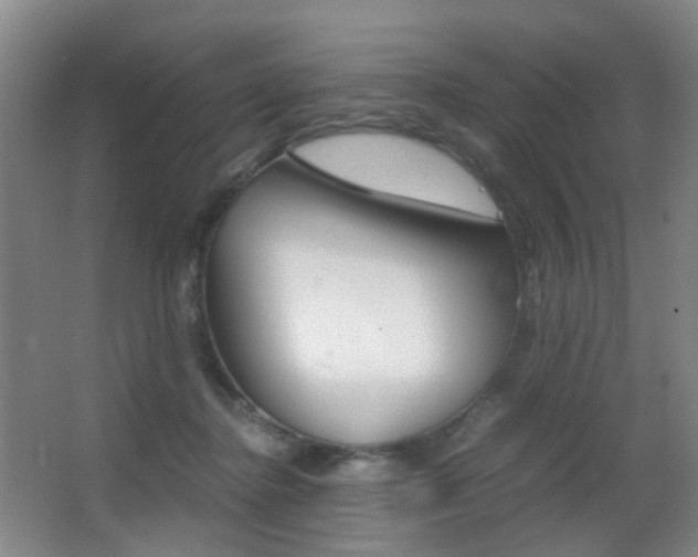 X0000062930364200601131120